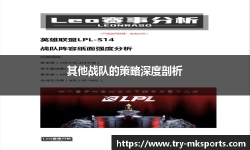 其他战队的策略深度剖析